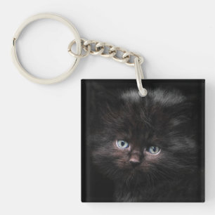 Cat, Pet, Cat child Key Ring