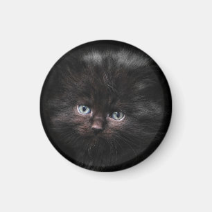Cat, Pet, Cat child Magnet