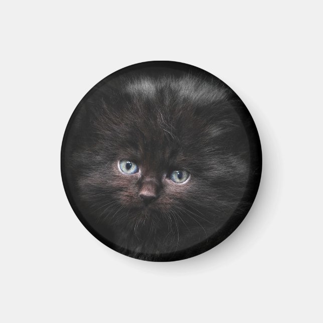 Cat, Pet, Cat child Magnet (Front)