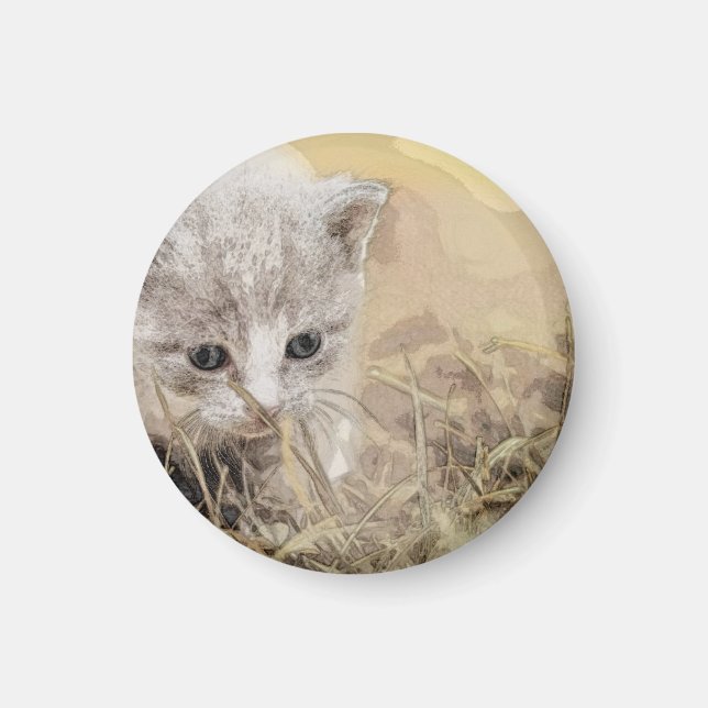 Cat, Pet, Cute Magnet (Front)