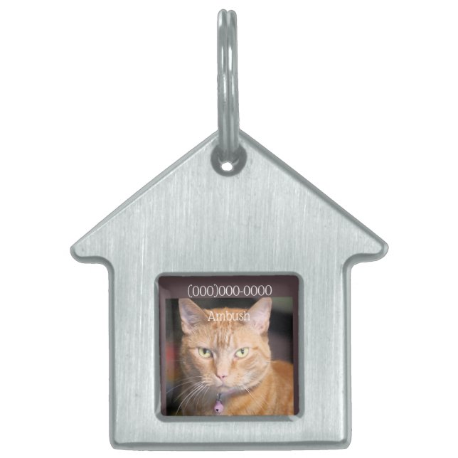 Cat       pet ID tag (Front)