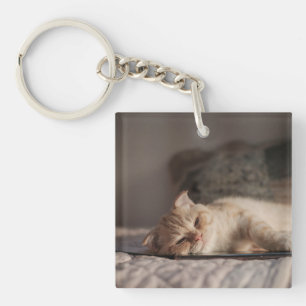 Cat, Pet, Kitten Key Ring