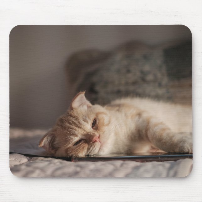 Cat, Pet, Kitten Mouse Pad (Front)
