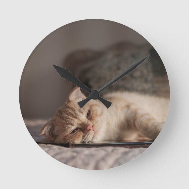 Cat, Pet, Kitten Round Clock (Front)