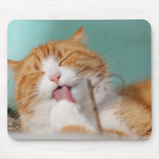 cat, pet, lick,animal  mouse pad (Front)