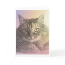 cat pet loss card