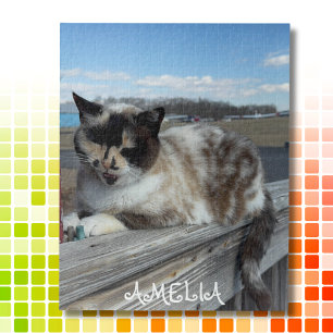 Cat Pet Photo,Family Night, Fun Custom Jigsaw Puzzle