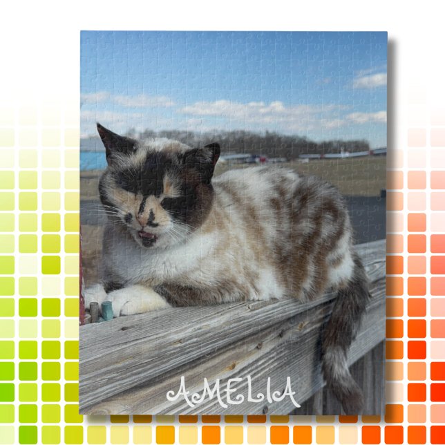 Cat Pet Photo,Family Night, Fun Custom Jigsaw Puzzle (Creator Uploaded)