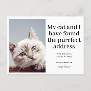 Cat Pet Photo New Address I've Moved Modern Announcement Postcard