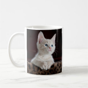 Cat Pet Photo Personalised Double Sided Coffee Mug