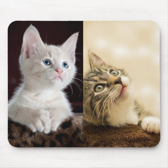 Cat Pet Photo Personalised Mouse Pad (Front)
