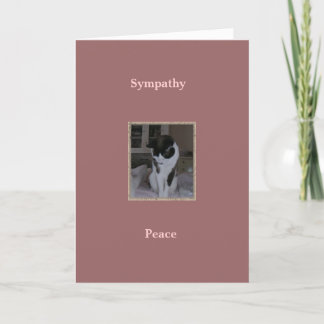 Cat, Pet Sympathy, Peace Card