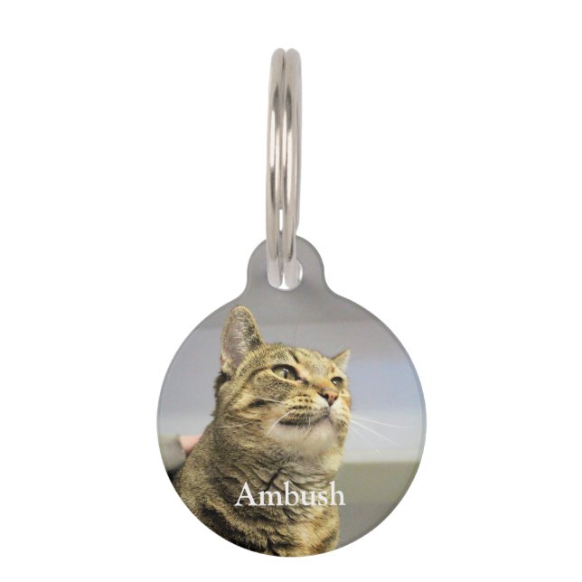 Cat Pet Tag (Front)