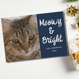 Cat Photo Blue Meowy and Bright Christmas Holiday Card