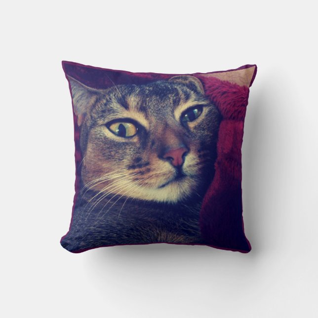 Cat photo, cat, Pets, funny cat, Cushion (Front)
