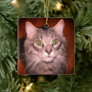Cat Photo Ceramic Ornament