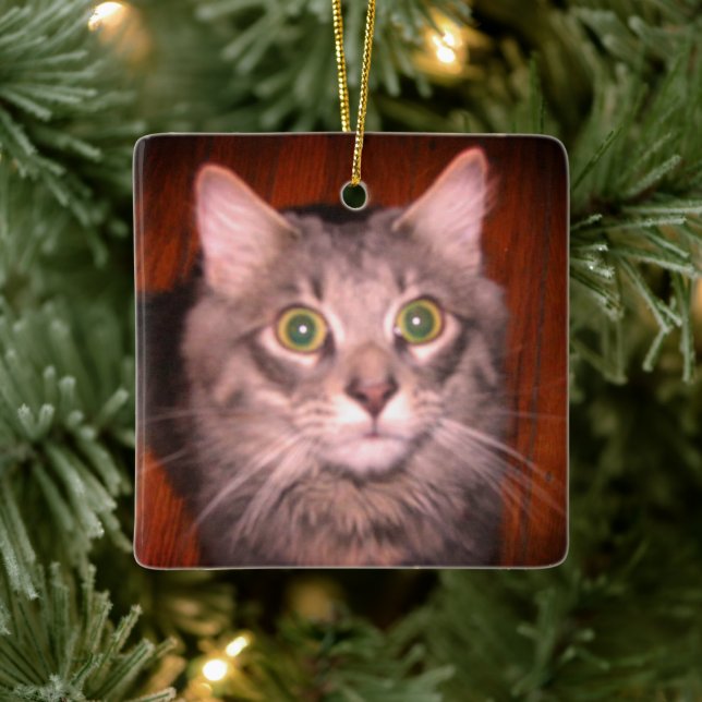 Cat Photo Ceramic Ornament (Tree)