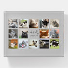 Cat Photo Collage with Paw Prints