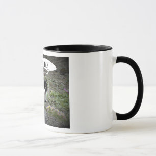 Cat Photo Custom Text  Combo Mug
