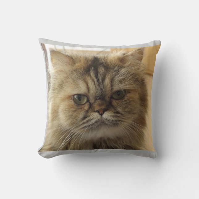 CAT PHOTO CUSTOM Throw Pillow (Front)
