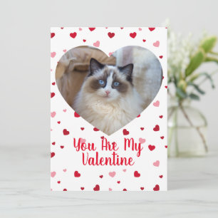 Cat Photo Custom Valentine's Day Card