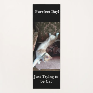 Cat Photo Fun Yoga Mat