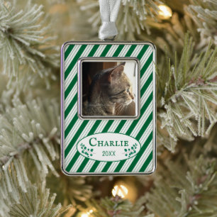 Cat Photo Green Stripes Framed Christmas Ornament