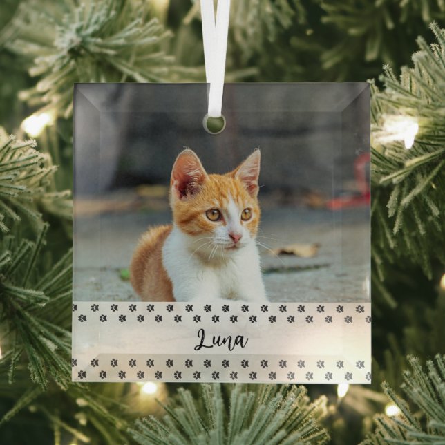 Cat Photo Holiday Keepsake for Pet Lovers Glass Tree Decoration (Insitu)