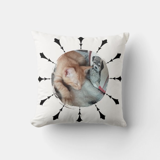 Cat Photo , Humour , replaceable, Funny  Cushion (Front)