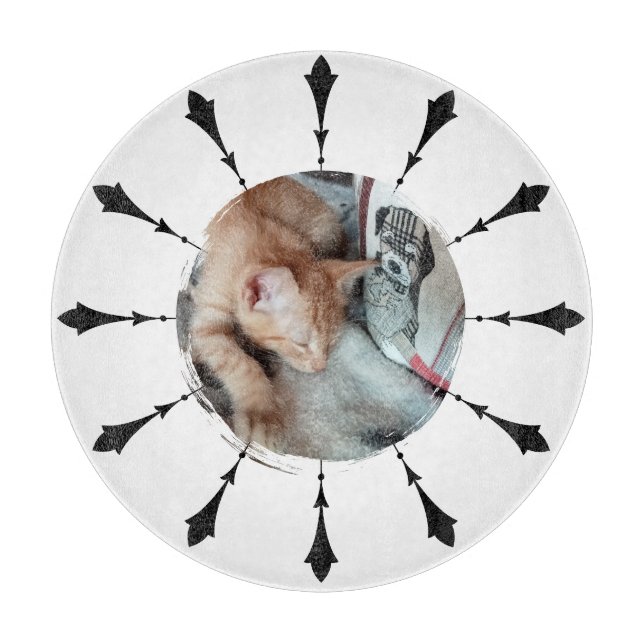 Cat Photo , Humour , replaceable, Funny  Cutting Board (Front)