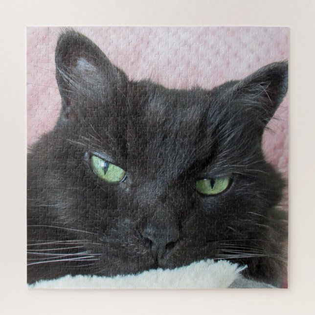 Cat Photo  Jigsaw Puzzle (Vertical)
