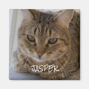 Cat Photo  Magnet