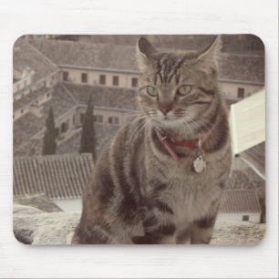 Cat Photo Mousepad