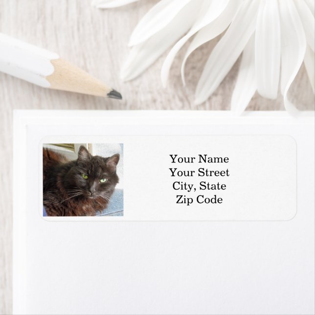 Cat Photo Personalised  Return Address Label (Insitu)