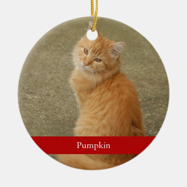 Cat Photo Red Name Cute Simple Christmas Ceramic Ornament (Front)
