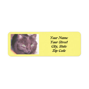 Cat photo  return address label