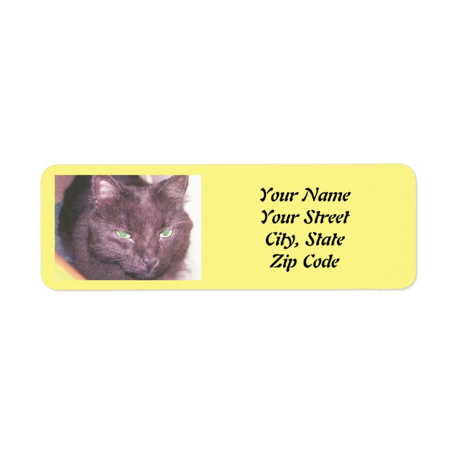 Cat photo  return address label (Front)
