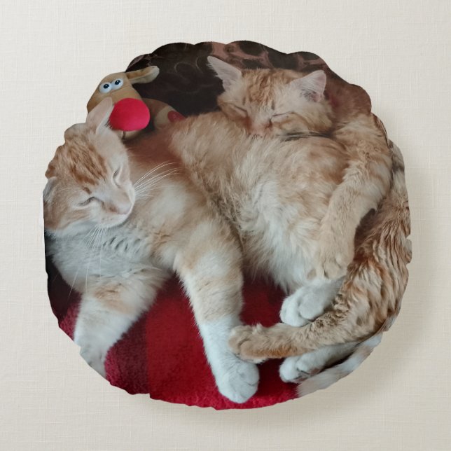 Cat photo Round Pillow (Front)