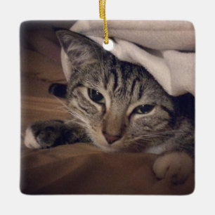Cat Photo Square Picture Christmas Ceramic Tree Decoration