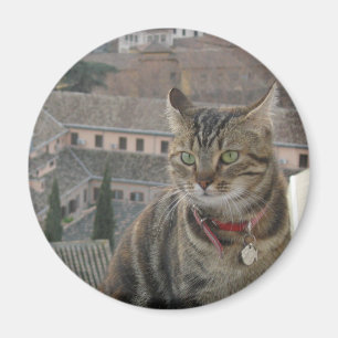 Cat Photo Standard, 5.7 Cm Round Magnet
