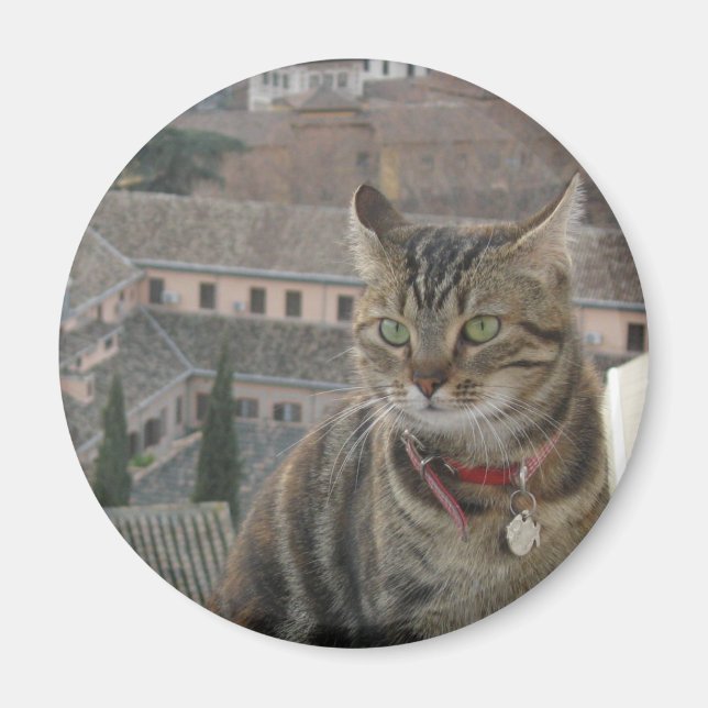 Cat Photo Standard, 5.7 Cm Round Magnet (Front)