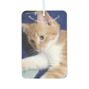 Cat Photo Text, Mom  Drive Careful, Customize,  Car Air Freshener