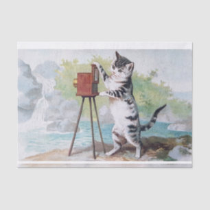 Cat Photographer • Helena Maguire (1860-1909) Tissue Paper
