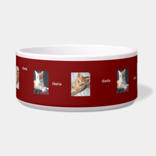 Cat Photos, Name, Customisable,