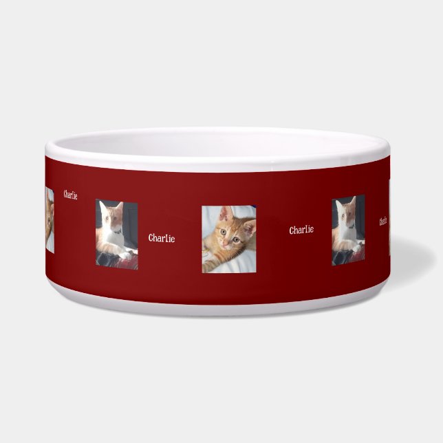 Cat Photos, Name, Customisable, (Left)