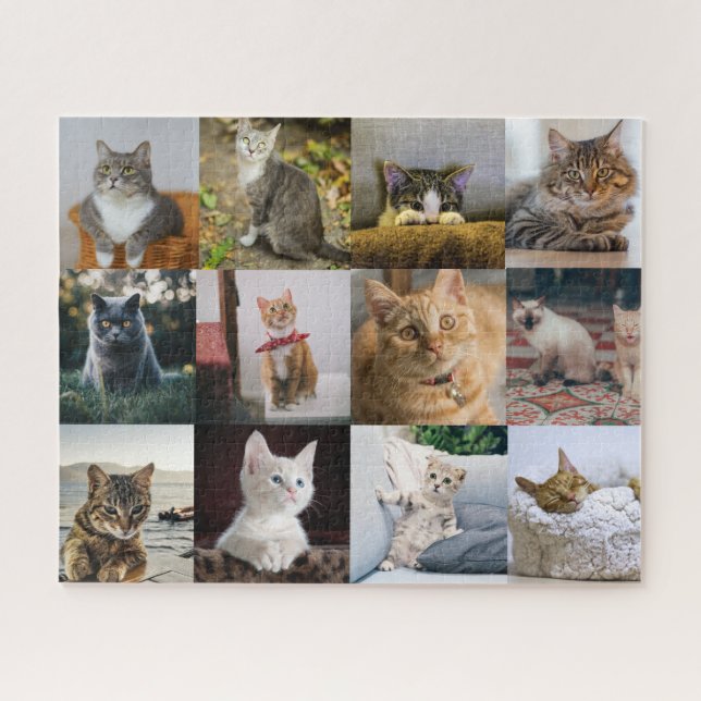 Cat Photos on Jigsaw Jigsaw Puzzle (Horizontal)