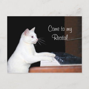 Cat piano recital postcard