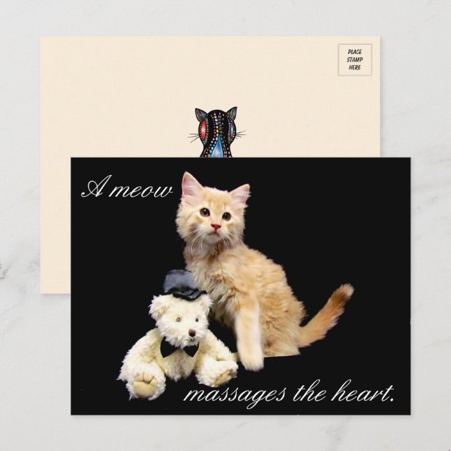 Cat Pic - Sundrop and Teddy Bear Postcard (Front/Back)