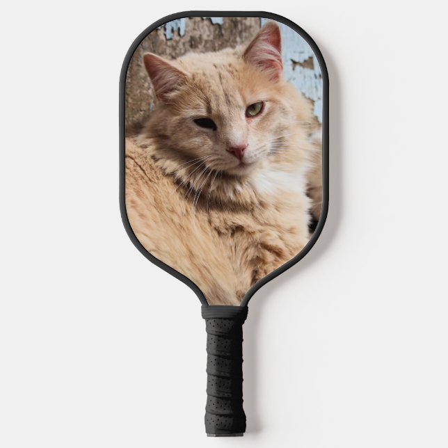 Cat  pickleball paddle (Front)