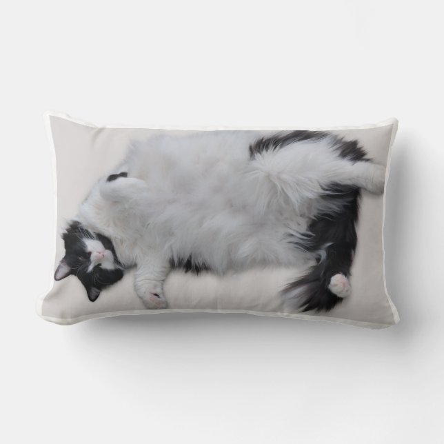Cat Pillow (Front)